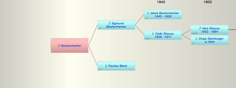 ? Bachenheimer