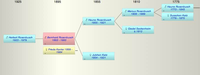 Bernhard (Leopold) Rosenbusch