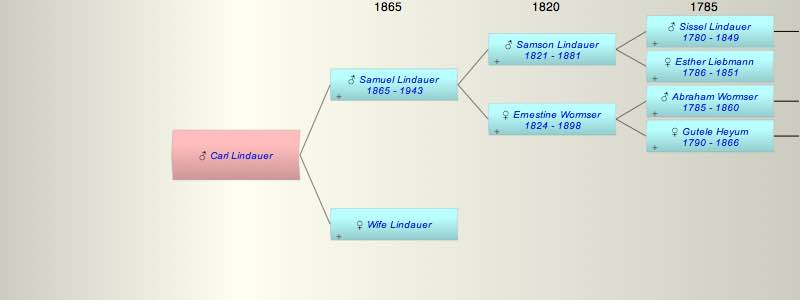 Carl Lindauer