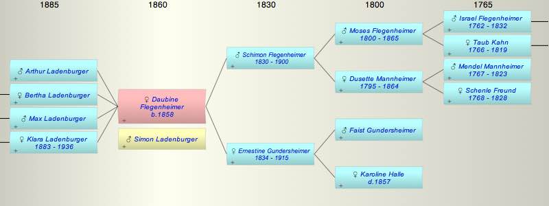 Daubine Flegenheimer