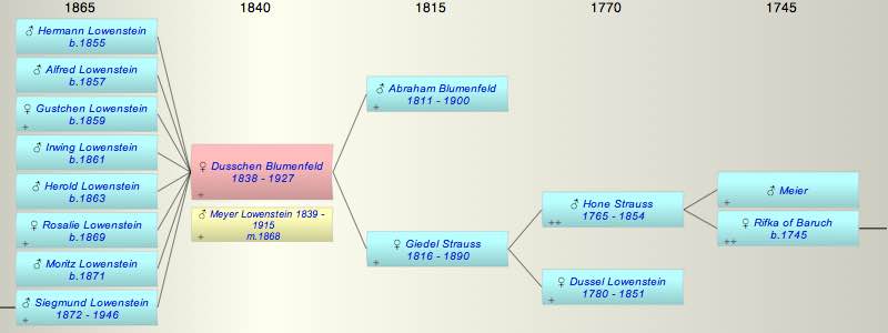 Dusschen Blumenfeld