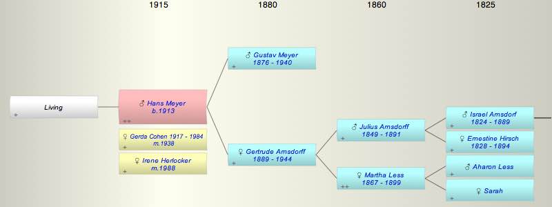 Hans (Hansi) John Meyer