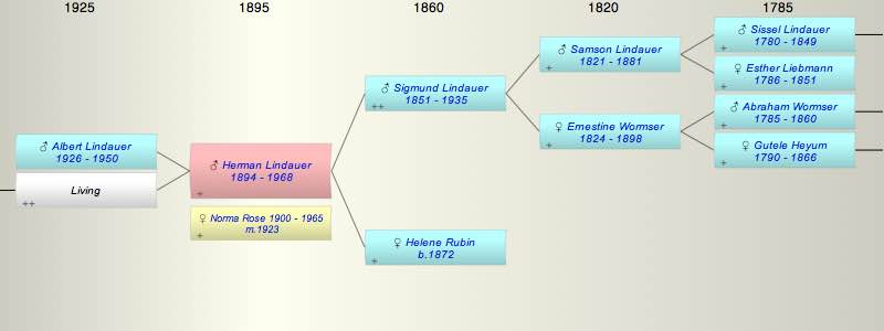 Herman Lindauer
