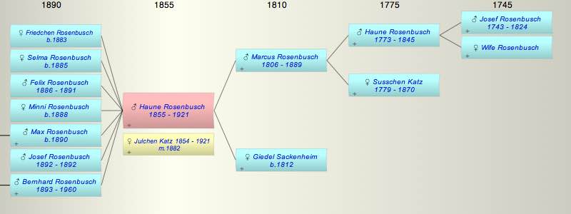 Haune (Heinemann) Rosenbusch
