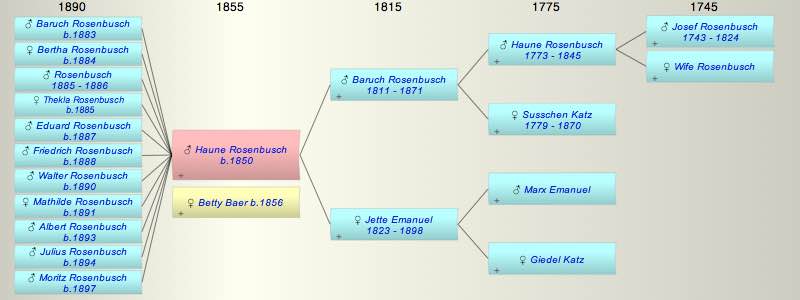 Haune Rosenbusch
