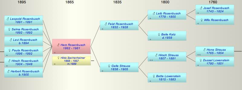 Herz Rosenbusch