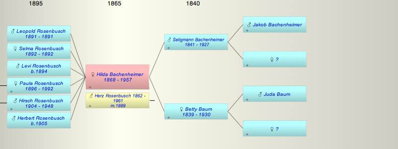 Hilda Bachenheimer