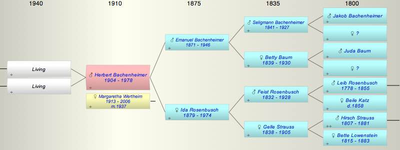 Herbert Bachenheimer