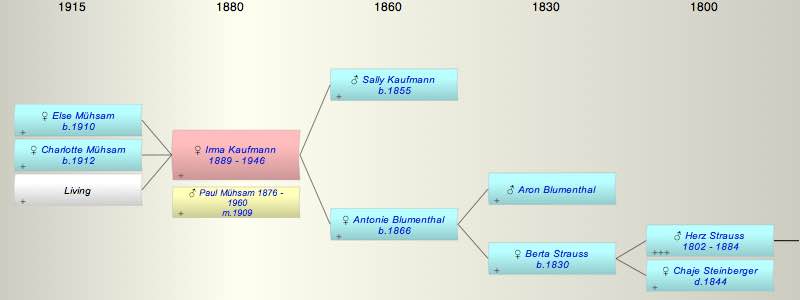 Irma Kaufmann