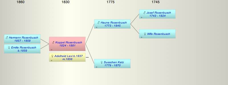 Koppel Rosenbusch
