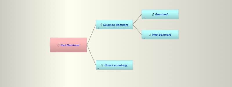 Karl Bernhard