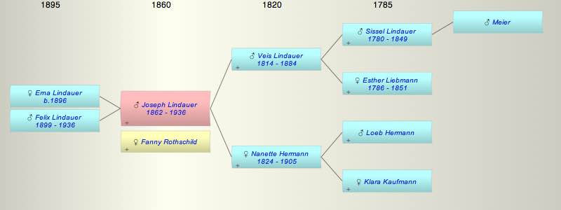 Joseph Lindauer