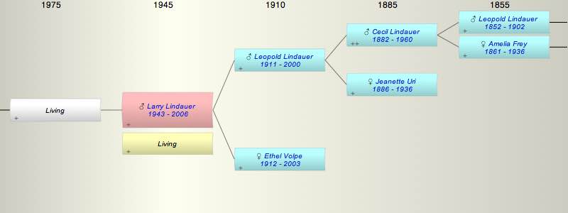 Larry Lindauer