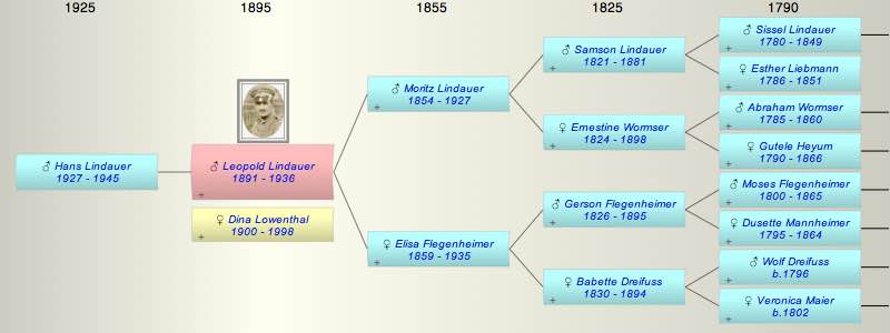 Leopold Lindauer