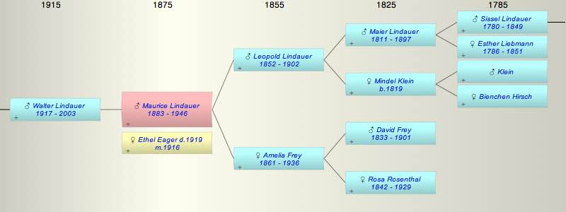 Maurice Lindauer