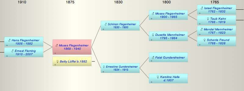Moses Flegenheimer