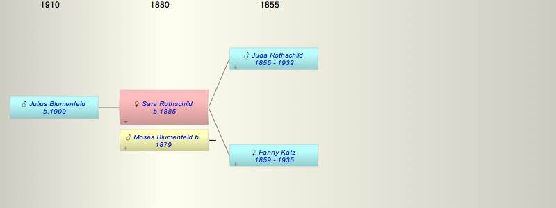Sara (Sarchen) Rothschild