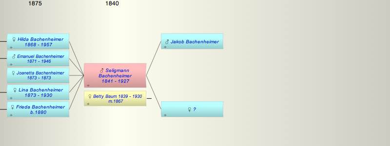 Seligmann Bachenheimer