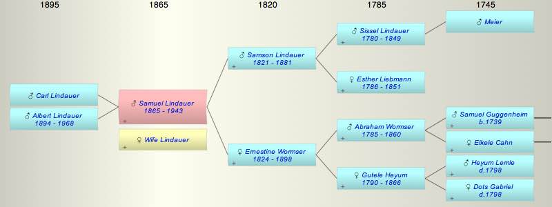 Samuel Lindauer