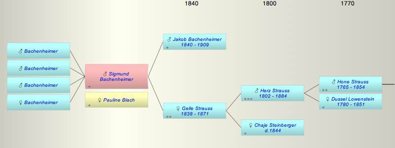Sigmund Bachenheimer