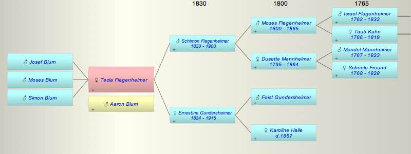 Tecla Flegenheimer