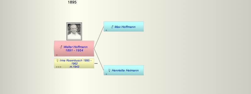 Walter Hoffmann