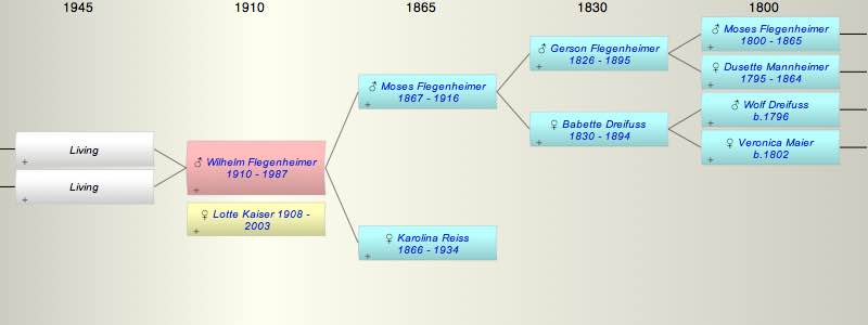 Wilhelm Benjamin Flegenheimer