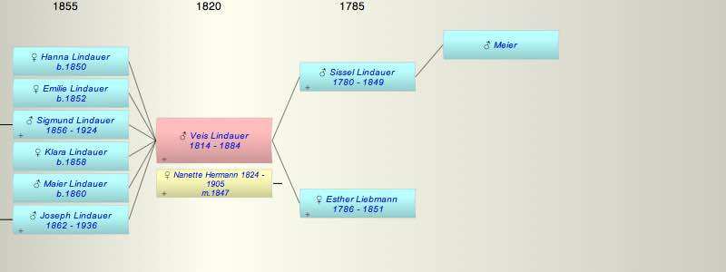 Veis Lindauer