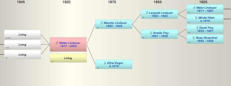 Walter Lindauer