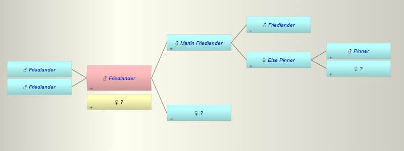 ? Friedlander