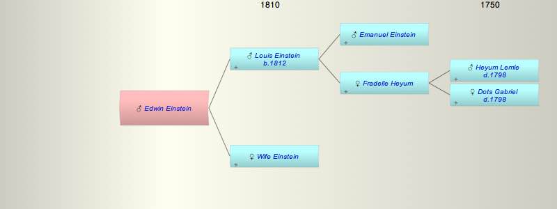Edwin Einstein
