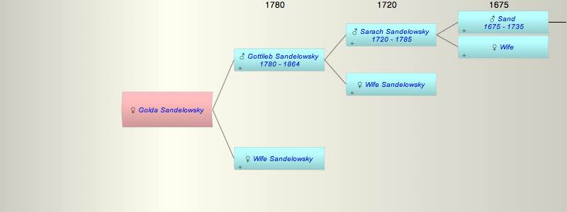 Golda Sandelowsky