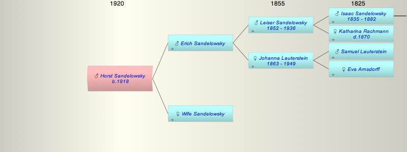 Horst Sandelowsky
