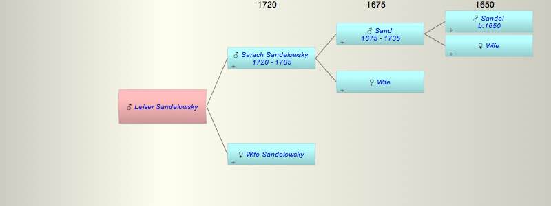 Leiser Sandelowsky