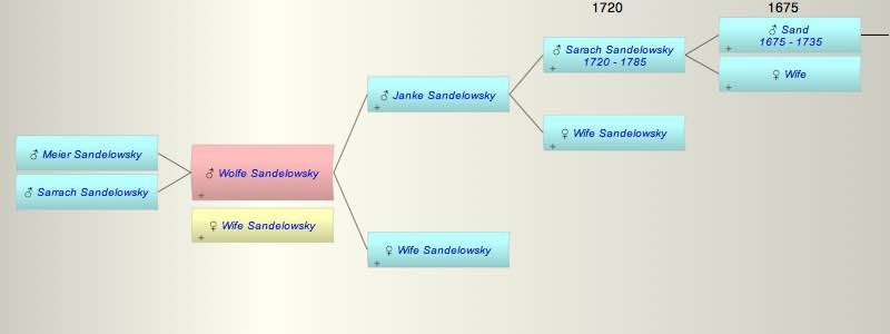Wolfe Sandelowsky