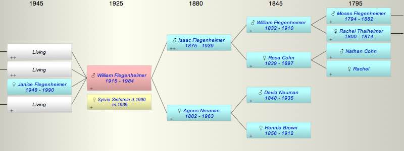 William Henry Flegenheimer